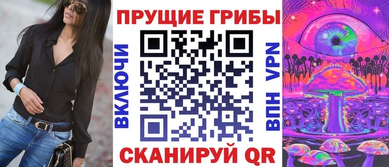 где купить наркоту  Нижнекамск  Псилоцибиновые грибы ЛСД 