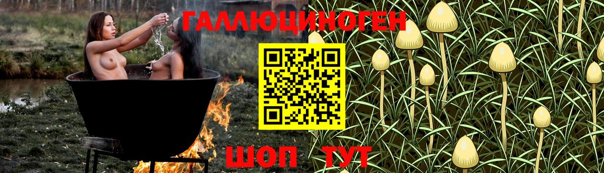 Галлюциногенные грибы Psilocybine cubensis  Вход с VPN  Нижнекамск 